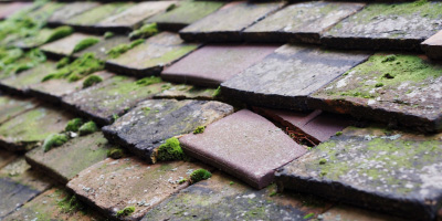 Ilford roof repair costs